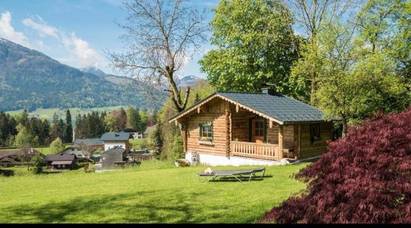 Bed and Breakfast Hauslhof Saint Wolfgang Esterno foto