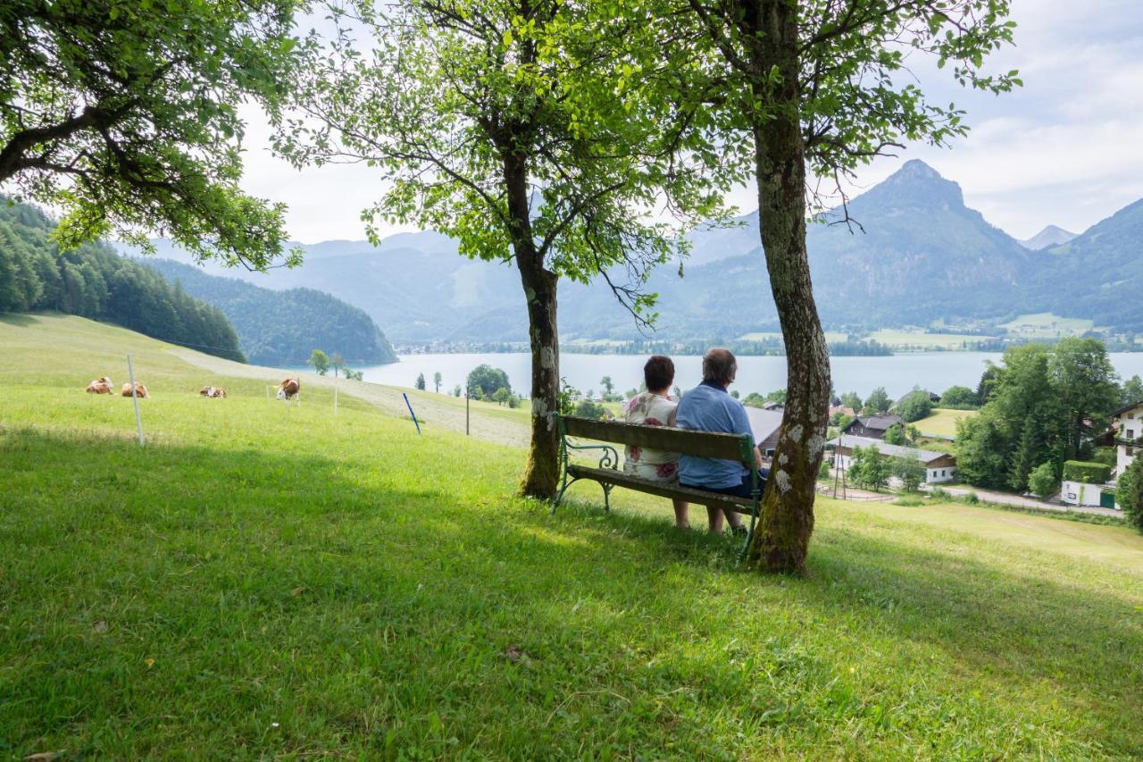 Bed and Breakfast Hauslhof Saint Wolfgang Esterno foto