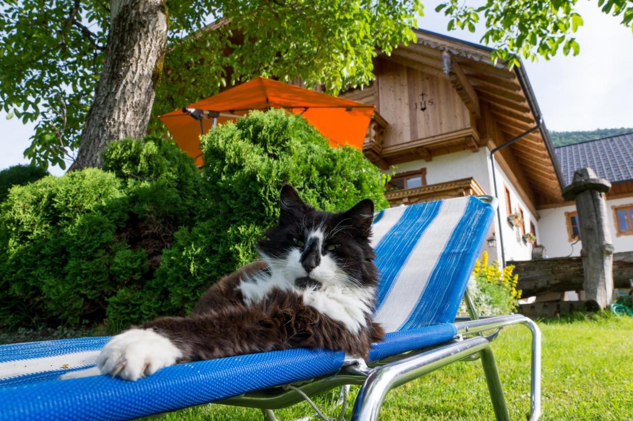 Bed and Breakfast Hauslhof Saint Wolfgang Esterno foto