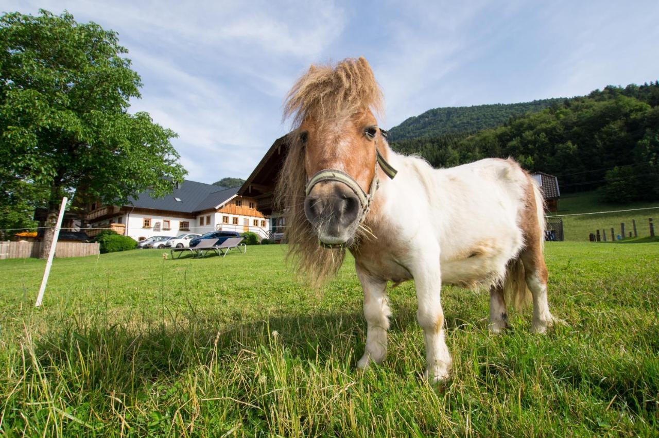 Bed and Breakfast Hauslhof Saint Wolfgang Esterno foto